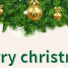 8 - foot Tall Christmas Tree , Spray White on the head With Haw and Pine Nut, for Holiday Decoration - MAGUSTA BEAUTY