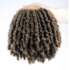 Bob Spring Twist Hair Prelooped Crochet Hair Braids 6 Inch synthetic Short passion twist hair pre twisted By Flyteng