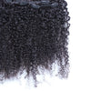 3B 3C Kinky Curly Clip In Hair Extensions Human Hair Afro Kinky Curly Clip Ins Bundles For Black Women 4A Dolago Full Head Sets