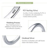 BF CLUB 925 Sterling Silver Sparckling Earrings For Women Trendy Earring Jewelry Prevent Allergy Party Accessories Gift