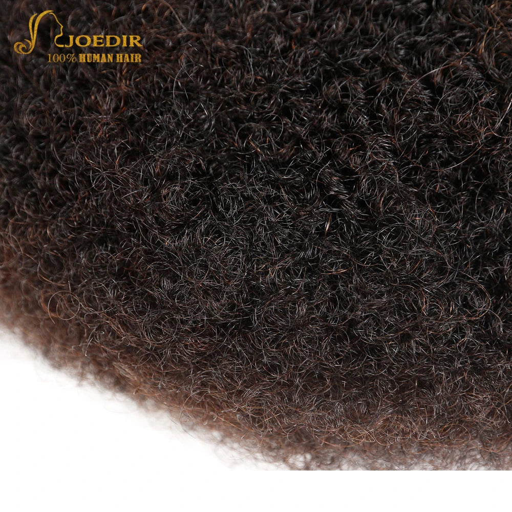 Joedir Brazilian Remy Hair Afro Kinky Curly Bulk Human Hair For Braiding dreadlocks Hair Extensions Crochet Braid hair QVR Hair