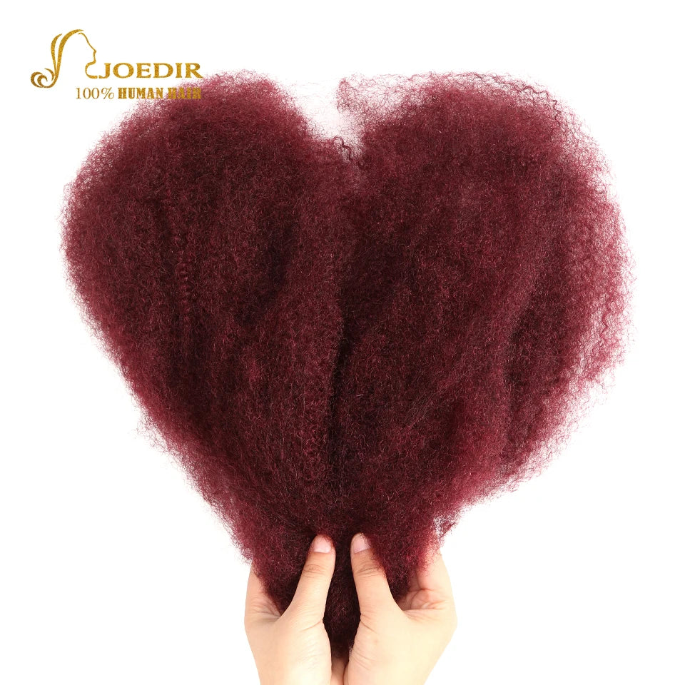 Joedir Brazilian Remy Hair Afro Kinky Curly Bulk Human Hair For Braiding dreadlocks Hair Extensions Crochet Braid hair QVR Hair