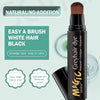 Sevich Hair Dye Pen Hair Root Touch Up Black Brown Hair Color Stick Disposable Hair Dye Cream Brush Easy To Carry Magic Stick