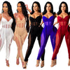 European and American Women's Clothing See-through Sexy Suspender Mesh Jumpsuit