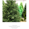 Full PE Artificial Large Christmas Tree PE Material Christmas Tree Home Party Atmosphere Xmas Decorations 1.2m to 2.1m navidad