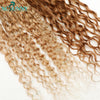 Crochet Braids Human Hair Pre Loop Boho Box Braid Crochet Human Hair Bundles Pre-looped With Curly Ends 100 Strands Color 30 27
