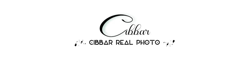 CIBBAR Vintage Mesh See Through Cropped Top y2k Aesthetic Floral Print Slash Neck Long Sleeve T-Shirts Women Retro Fashion Tees
