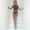 Dress Summer Women Leopard Print Mesh O Neck Long Sleeve Sexy See Through Maxi  Fashion Outfits Beach Vacation Nightclub