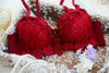 Midnite StarSolid Wireless Sexy Simple Push Up Bra Lace Floral Adjusted Bralette Lingerie Comfort Breathable Bras For Women