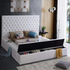 Bliss Collection Modern Contemporary Velvet Upholstered Bed with Deep Button Tufting and Storage Compartments White Queen