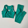 2PCS Sports Bra Women's Set Professional Fitness Tank Top Bra Shockproof Running Leggings Yoga Suit Beautiful Back Bra Clothing