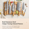 XINZUO 1-8pcs Kitchen Knife Set 73 Layers Custom Damascus Steel 15°±1 Per Side Steel Blade with Olive Wood Handle