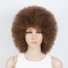 QVR Short Afro Kinky Curly Wigs With Bangs For Women Fluffy Short Afro Curly Wigs Human Hair Wig 180% Density Full Machine Hair
