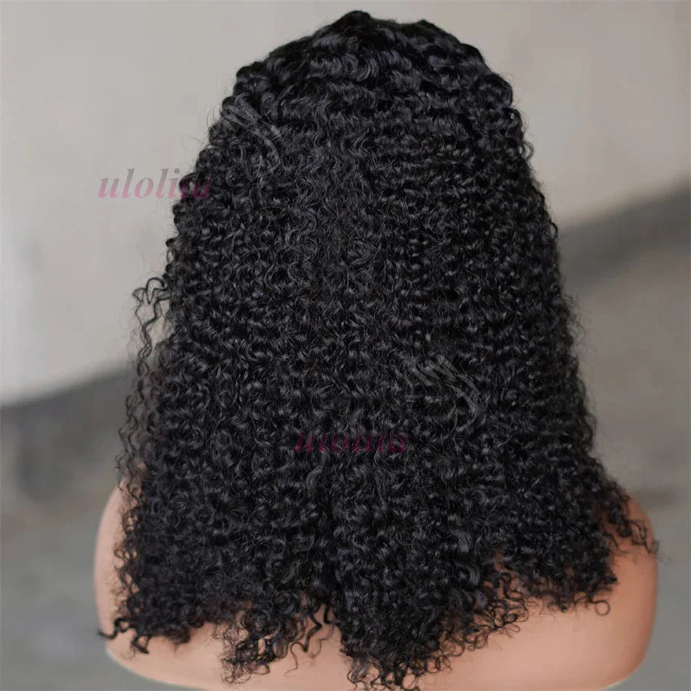 Braided Wigs 100% Human Hair 13X4 Lace Front Wig Braided Wigs With Baby Hair Wigs For Women Kinky Curly Hair Wigs Curly Bob Wig