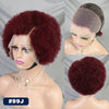 MALAIKA Kinky Curly Short Lace Front Wig Afro Bob Human Hair Natural Hairline 13X4 Lace Frontal Glueless Human Hair Wigs