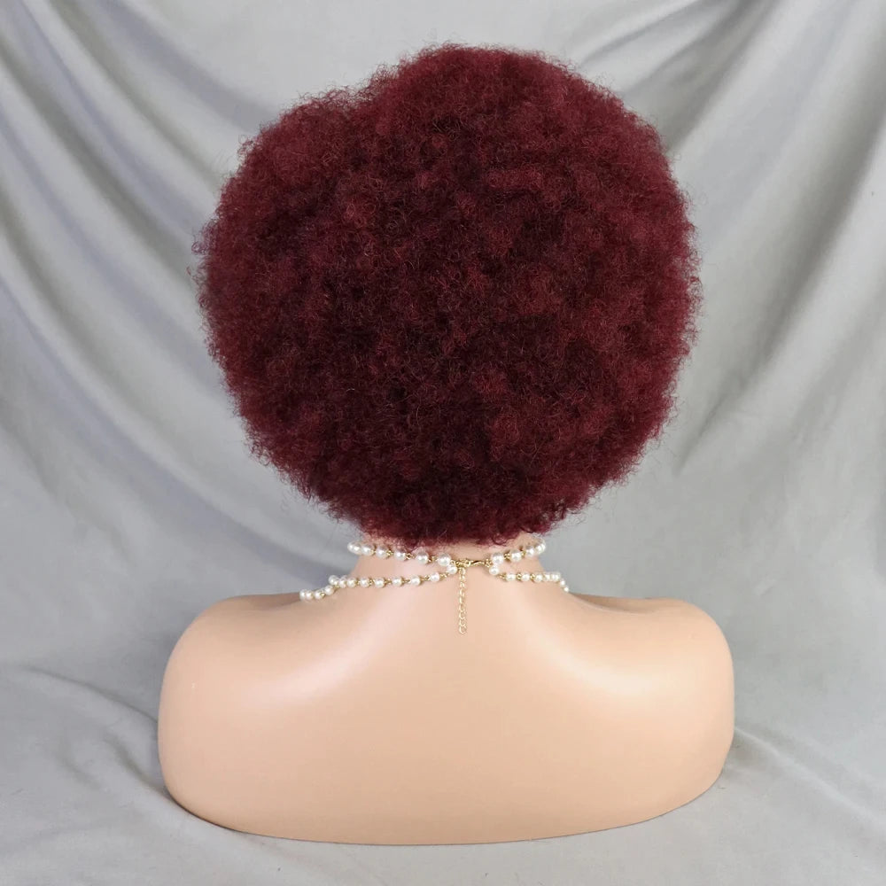 MALAIKA Kinky Curly Short Lace Front Wig Afro Bob Human Hair Natural Hairline 13X4 Lace Frontal Glueless Human Hair Wigs