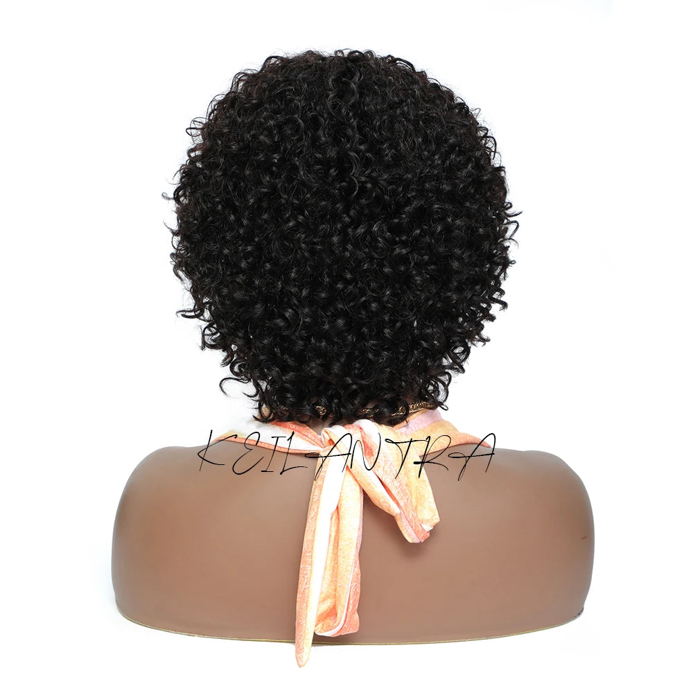 Pixie Cut Human Hair Wigs For Black Women Afro Rose Curly Funmi Glueless Wigs with Bangs Short Bouncy Curly Bob Wig With Bangs