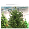 Full PE Artificial Large Christmas Tree PE Material Christmas Tree Home Party Atmosphere Xmas Decorations 1.2m to 2.1m navidad