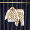 Baby Boys Clothes Sets Spring Autumn Toddler Fashion Cotton Coats Pants 2pcs Tracksuits For Bebe Infants Sports Suits Outfits 2Y