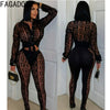 FAGADOER Sexy Mesh Women 2 Piece Set Outfit See Through Long Sleeves Crop Top + Skiny Pants Suits Female Streetwear Clothing New