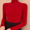 Women Turtleneck Basics Cashmere Sweater Autumn Winter Pullover 100% Merino Wool Knitwear Female Soft Slim Knitting New Top