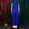 Elegant Jumpsuits & Rompers for Woman 2024 New Turn Down Collar Sleeveless High Waisted V Neck Straight Female Birthday Overalls