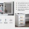 Makeup Vanity Set with Mirror and Light, Storage Drawer, Chair and Shelf, Adjustable Brightness Makeup Vanity with Light