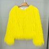 2023 Women Faux Fur Coat Autumn Winter High Quality Fluffy Short Coat Faux Fur Jacket
