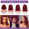 13x4 Deep Wave Frontal Wig 99J Burgundy Lace Front Wig Short Bob Hair Wig Human Hair HD Transparent Lace Pre Plucked Hairline