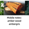 Original Brand Perfume for Women Men Lasting Fragrance Sexy Lady Attractive Aroma Cologne Parfum Paris Secret Perfumes