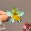 6Pcs Gradient Hair Clips New Flower Hair Claws Small Size Fashion Headwear Hairpin Crab Barrette Hair Accessories for Women