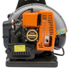 65CC 2 Stroke Petrol Backpack Leaf Air-cooled Blower Commercial Garden Yard Tool 2.7 kw 6800r/min