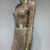 Festival Outfit Women High End Fashion Nude Color Rhinestone Mesh Long Sleeve O Neck Crop Top and Long Skirts Gala Two Piece Set