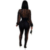 FAGADOER Sexy Mesh Women 2 Piece Set Outfit See Through Long Sleeves Crop Top + Skiny Pants Suits Female Streetwear Clothing New