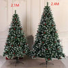 8-foot Tall Christmas Tree , Spray White on the head With Haw and Pine Nut,  for Holiday Decoration
