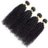 Mongolian Afro Kinky Curly Bundles Human Hair Afro Kinky Bulk Human Hair Unprocessed Virgin Hair Bundles for Women Natural Black