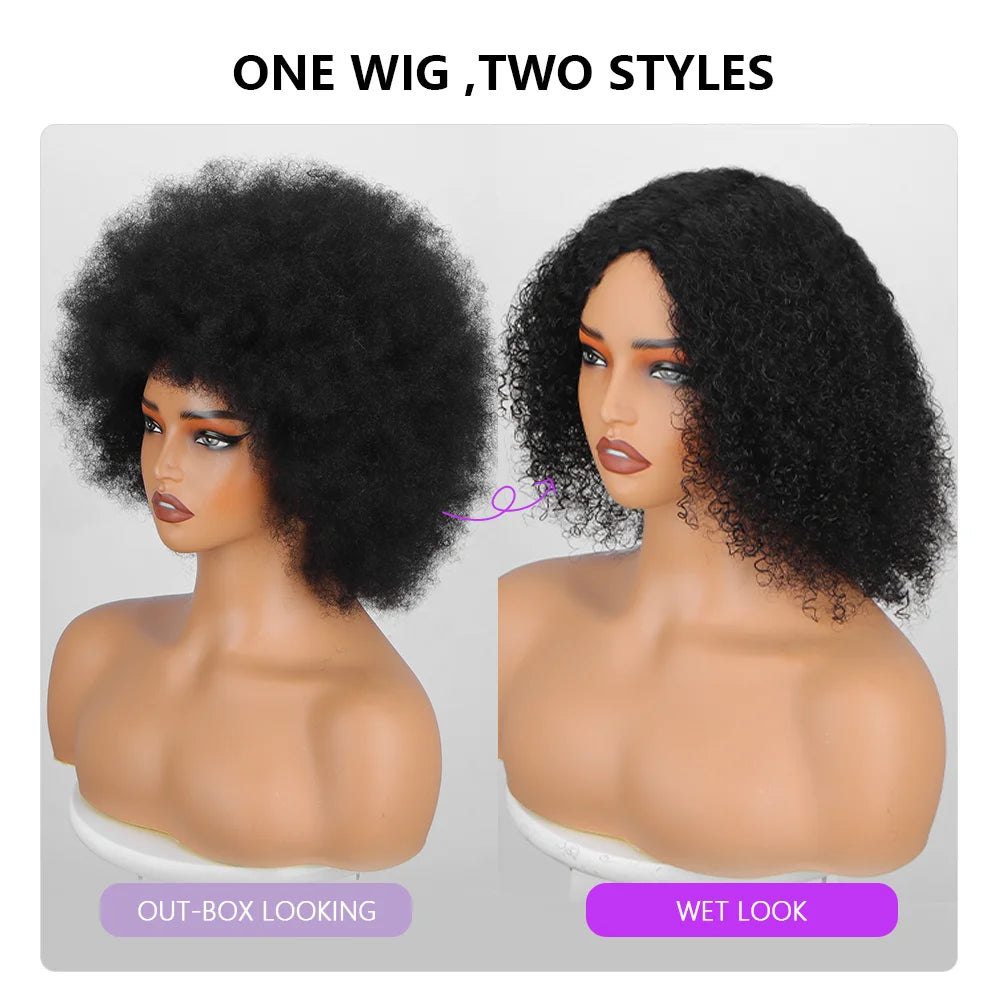 Afro Fluffy Curly Human Hair Wigs 70S Jerry Curl Wig One Wig Two Stlyes Glueless Wig Puffy Bouncy Wig Bouncy Wet and Dry Styling