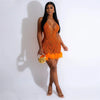 Bodycon Women Backless Lace Up Halter See Through Sequins Mesh Patchwork Sexy Party Dress Feather Hem Fashion Night Club Dress