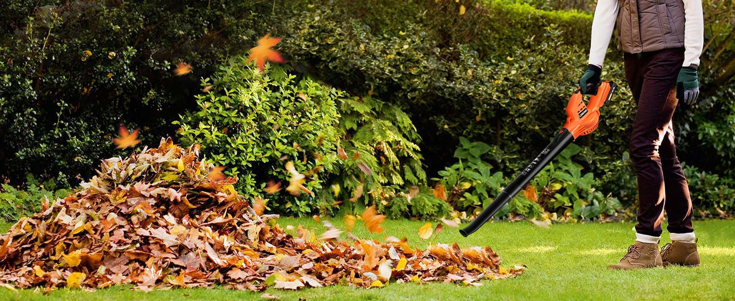 Cordless Leaf Blower, 150Mph Handheld Electric Leaf Blowers with 2.0Ah Battery & Fast Charger, 2 Speed Mode, 20V Battery Powered