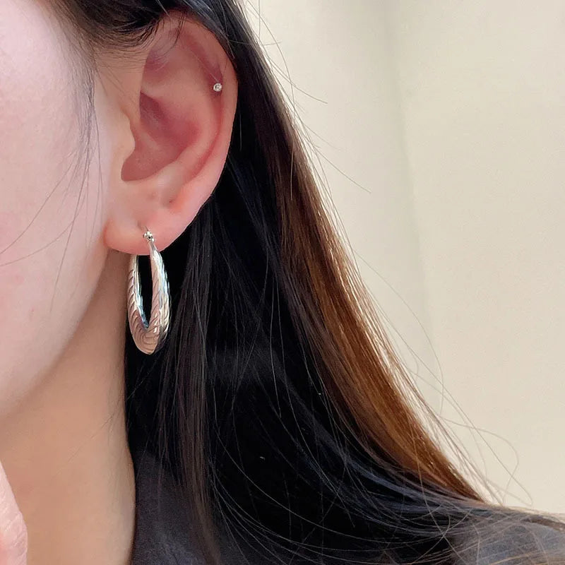 BF CLUB 925 Sterling Silver Sparckling Earrings For Women Trendy Earring Jewelry Prevent Allergy Party Accessories Gift
