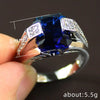 Delicate Male 925 Sterling Silver Rings for Women Cubic Zirconia Blue Stone Ring for Men Women Index Finger Ring VIntage Jewelry