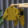 Autumn and Winter Boys' Baby Plush Set New Handsome Children's Sports and Leisure Hoodie and Pants Boys' Two Piece Set