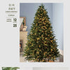 Gift Christmas Decoration High end PE Mixed Christmas Tree Encryption 1.2m 1.8m Christmas Tree