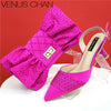 Latest Women Italian Shoes and Matching Bags Decorated with Rhinestone Elegant Pointed Toe Wedding Shoes Bride
