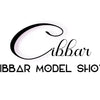 CIBBAR Vintage Mesh See Through Cropped Top y2k Aesthetic Floral Print Slash Neck Long Sleeve T-Shirts Women Retro Fashion Tees