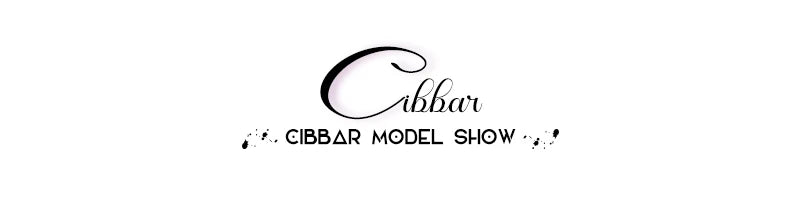 CIBBAR Vintage Mesh See Through Cropped Top y2k Aesthetic Floral Print Slash Neck Long Sleeve T-Shirts Women Retro Fashion Tees