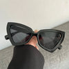New Fashion Cat Eye Sunglasses Female Luxury Brand Designer Sun Glasses for Women Travelling Sun Shades Glasse y2k Gafas De Sol