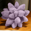 Inyahome 3D Succulent Throw Pillow Cactus Plush Flower Plant Shaped Cushion for Living Room Decor Novelty Decoration Plant Decor