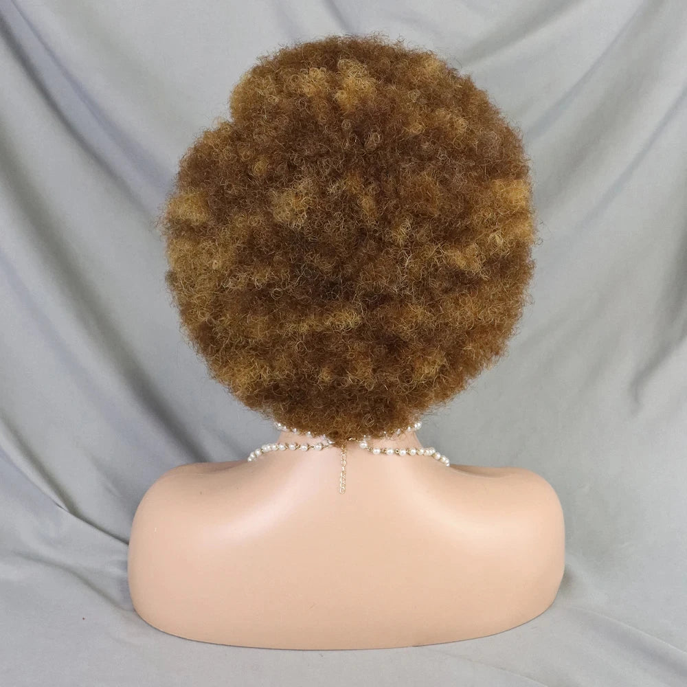 MALAIKA Kinky Curly Short Lace Front Wig Afro Bob Human Hair Natural Hairline 13X4 Lace Frontal Glueless Human Hair Wigs