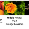 Original Brand Perfume for Women Men Lasting Fragrance Sexy Lady Attractive Aroma Cologne Parfum Paris Secret Perfumes